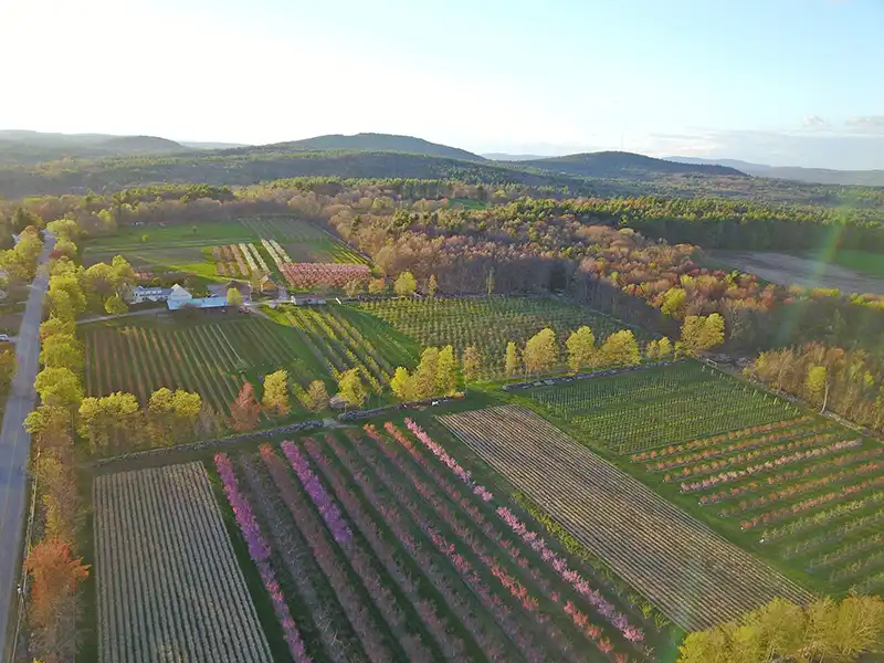 Local Farms in Strafford County, NH - Butternut Farm, Farmington, NH